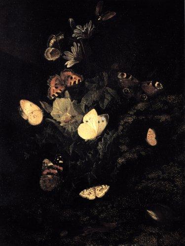 Otto Marseus von Schrieck: Stilleben (Kat. Nr. 56)