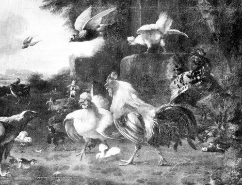 Melchior D'Hondecoeter: Gefl�gel (Kat. Nr. 57)